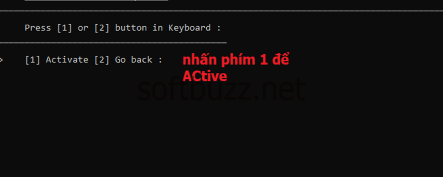 active-win-10-ltsc-B4-A
