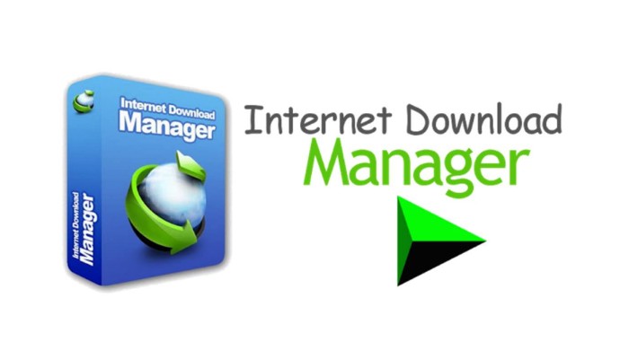 bản quyền phần mềm IDM