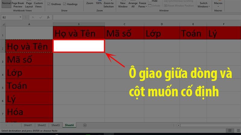 bo-co-dinh-dong-trong-excel-1