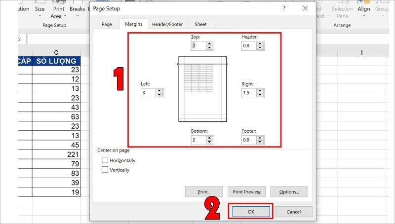 cach-chinh-trang-in-trong-excel-5