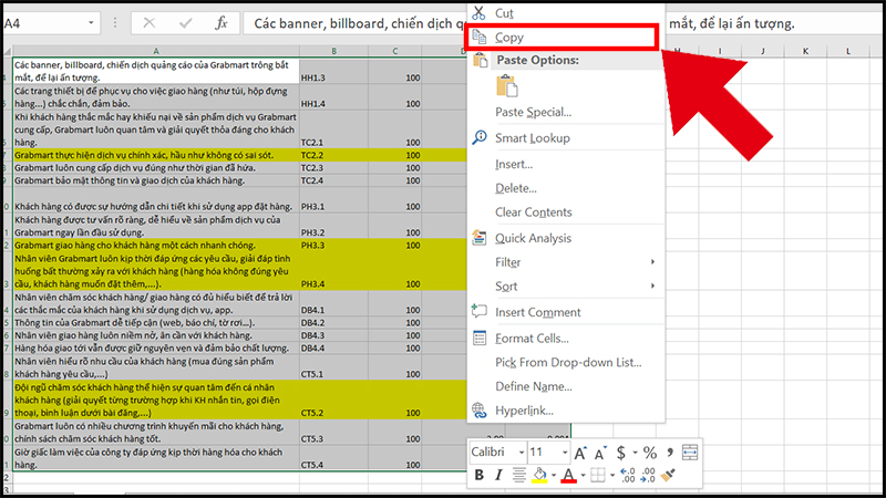 cach-copy-tu-excel-sang-word-1