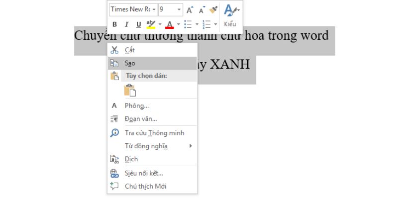 chuyen-chu-thuong-thanh-chu-hoa-trong-word-4