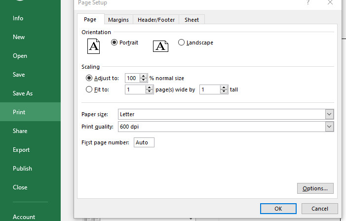 danh-so-trang-excel-1