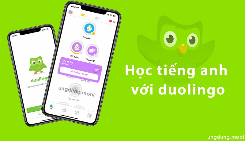 hoc-tieng-anh-voi-duolingo-2