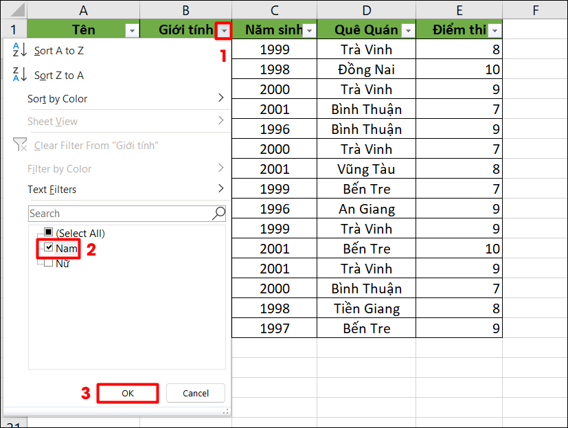 ham-loc-du-lieu-co-dieu-kien-trong-excel-3