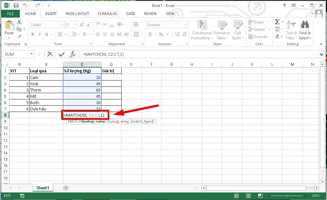 ham-match-trong-excel-1